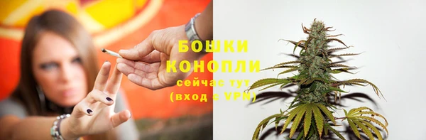 PSILOCYBIN Волоколамск